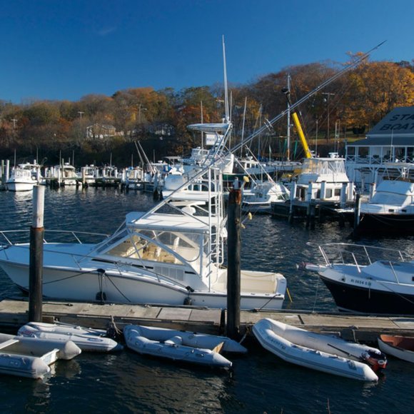 Meet your Posher, Jacqueline - Picture 7 of 12